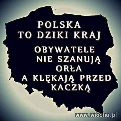 Na szczęście jeszcze nie wszyscy ...