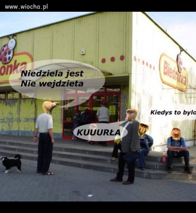 Lewak w niedzielę.