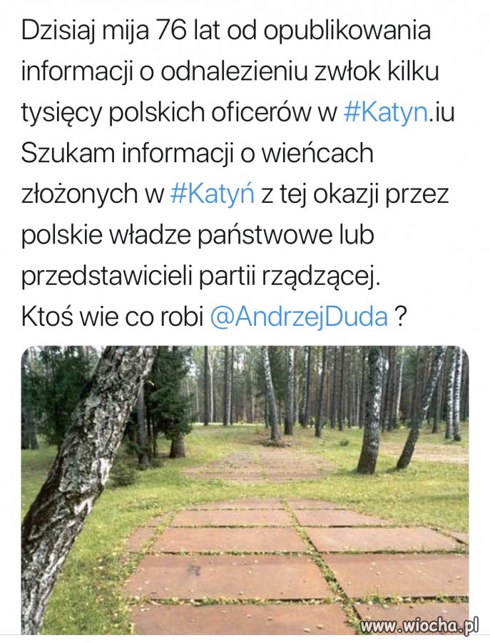 Pisowska pamięć historyczna 