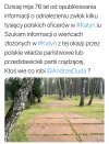 Pisowska pamięć historyczna 