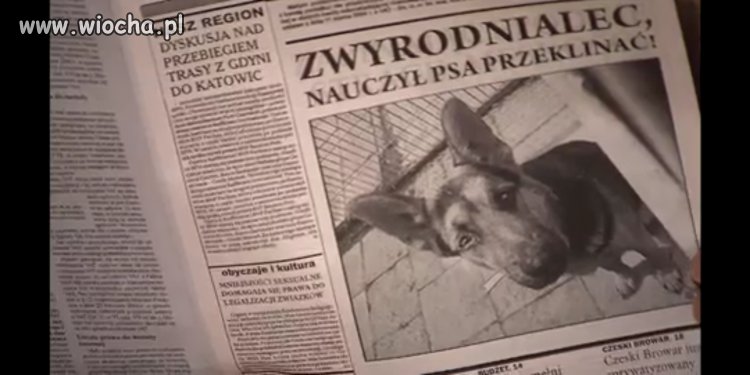 Szczyt głupoty w mediach