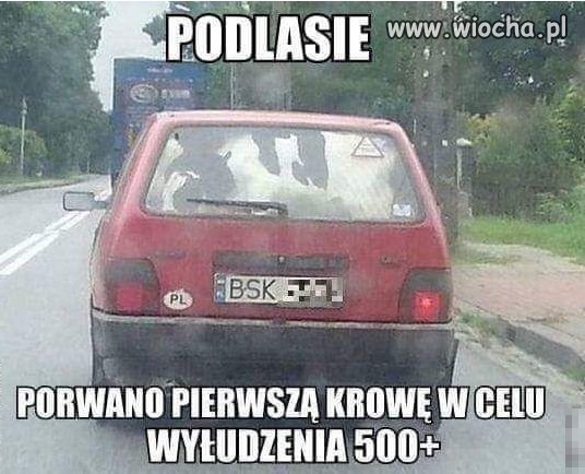 Już się zaczyna