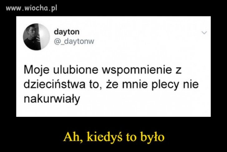 100% prawdy
