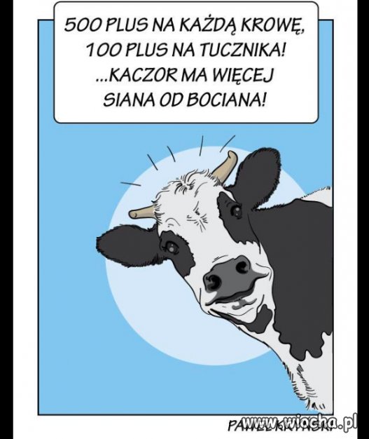 Kaczor, kaczor...