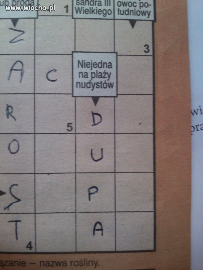 Krzyżówka 