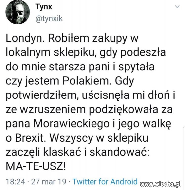 No tak teraz nawet matouszek rządzi w Anglii 