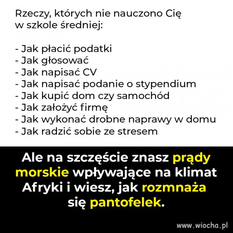 Wszelki komentarz jest zbędny...