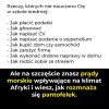 Wszelki komentarz jest zbędny...