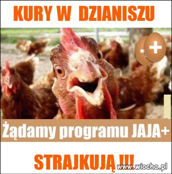 A co im też należy się