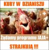 A co im też należy się