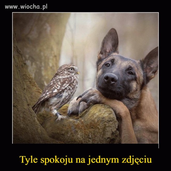 Święta, Święta i po Świętach