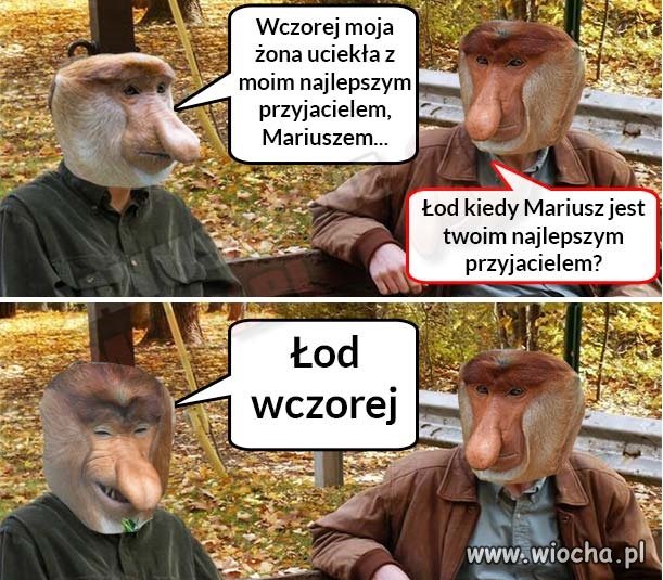 Tyle w temacie