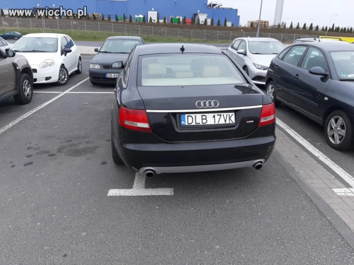 Mistrz parkowania