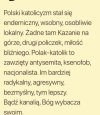 Polski katolicyzm