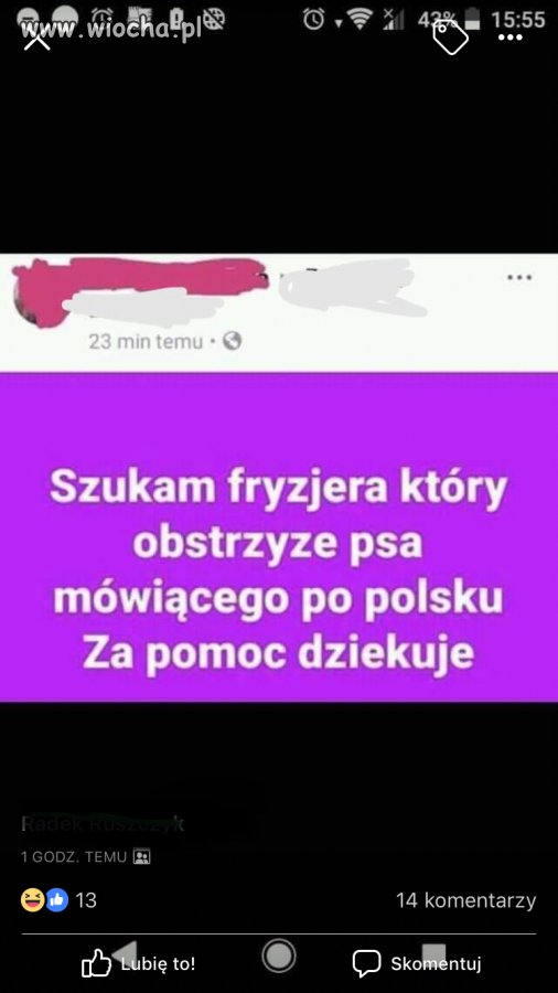 Poszukiwany