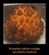 Ciekawostka kulinarna