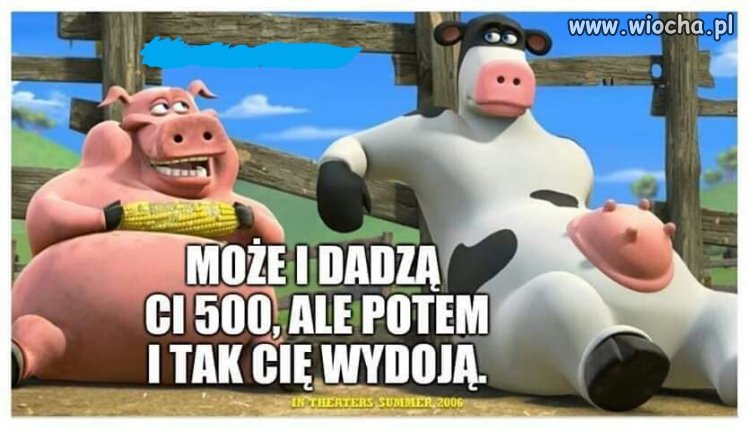 Z życia wzięte