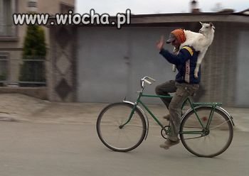Dostawa na Wielkanoc.