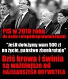No to w tym roku 