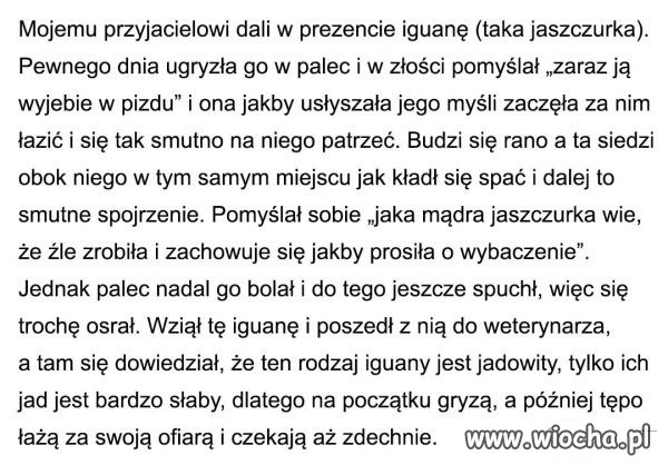 Miłe domowe