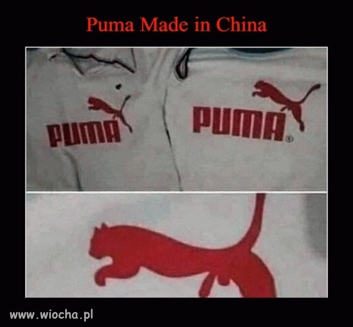 Chińska Puma