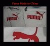 Chińska Puma