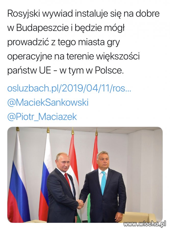 Sojusznik 