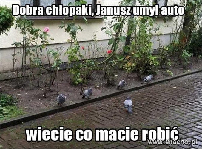 Odprawa