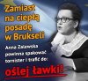 Kto jest odpowiedzialny za ten bajzel w oświacie?