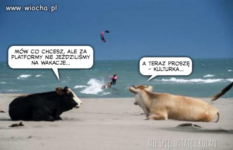 To musiało się tak skończyć...