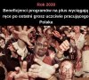 500+, krowa+,