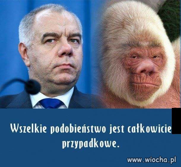 Z cyklu: znajdź różnicę...