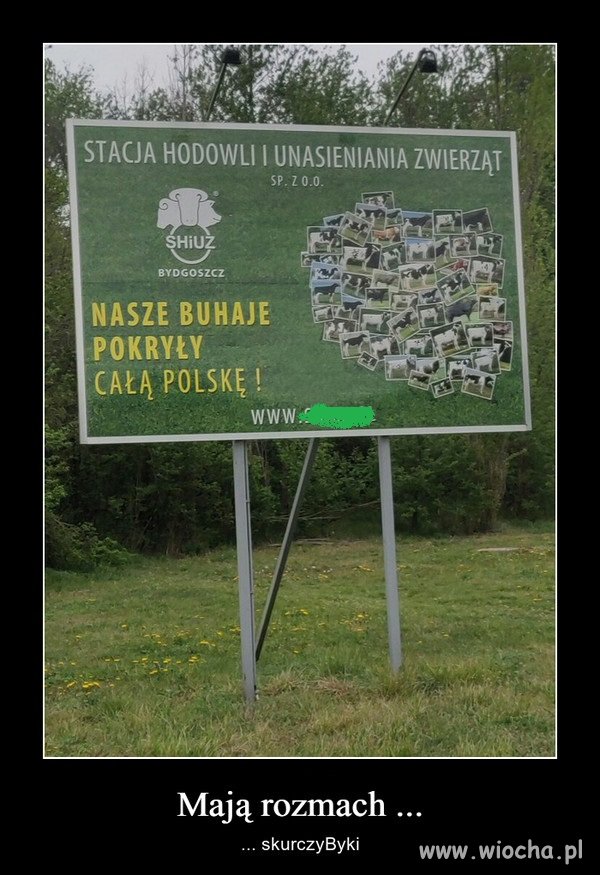 A który tak się zasłużył ? Kuchcik czy piętaszek?