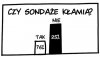 Sondaże tak wyglądają
