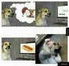 Gorące 