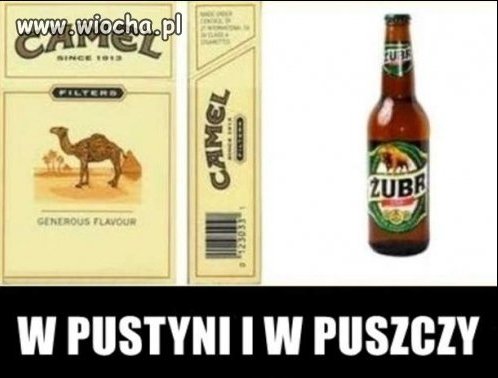 W pustyni i w puszczy 