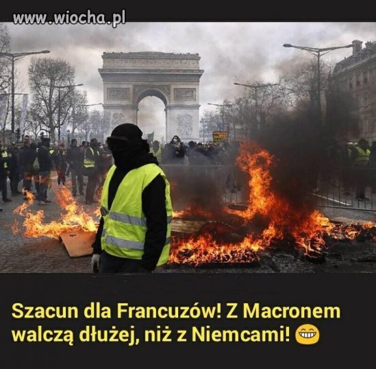 Brawo, brawo...