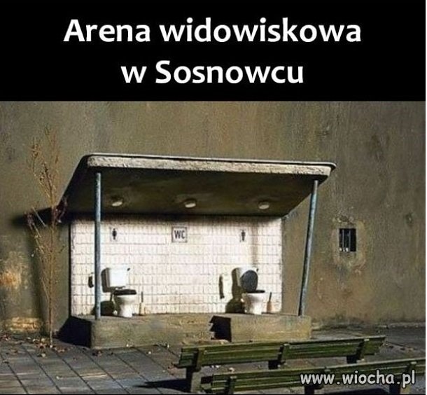 Arena