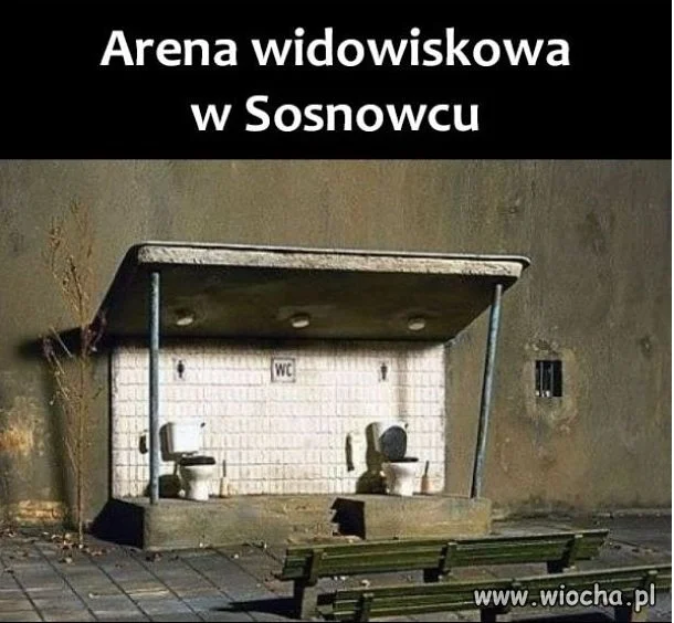 Arena