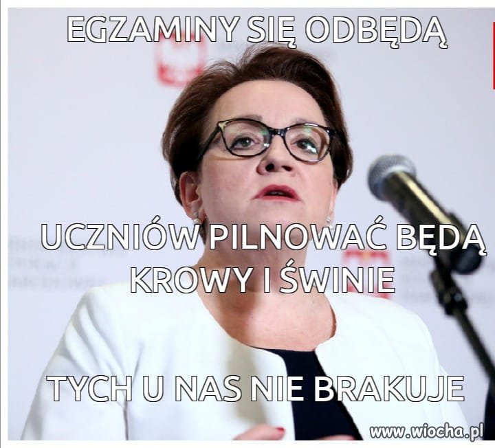 Pytanie brzmi
