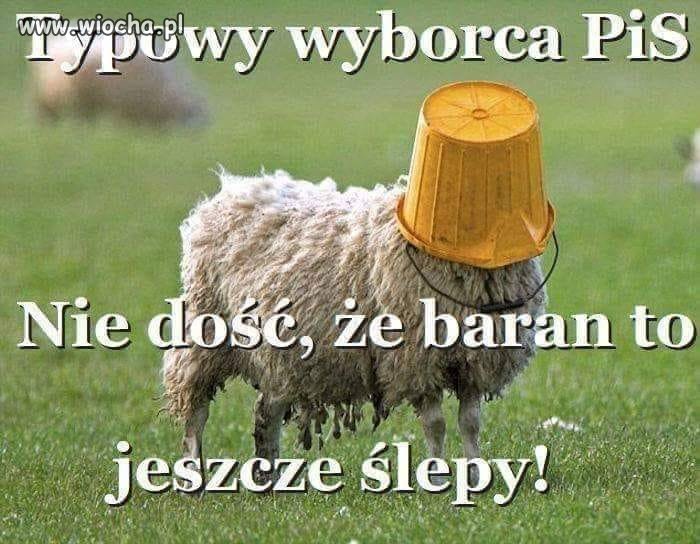 Tak jest. 