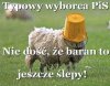 Tak jest. 
