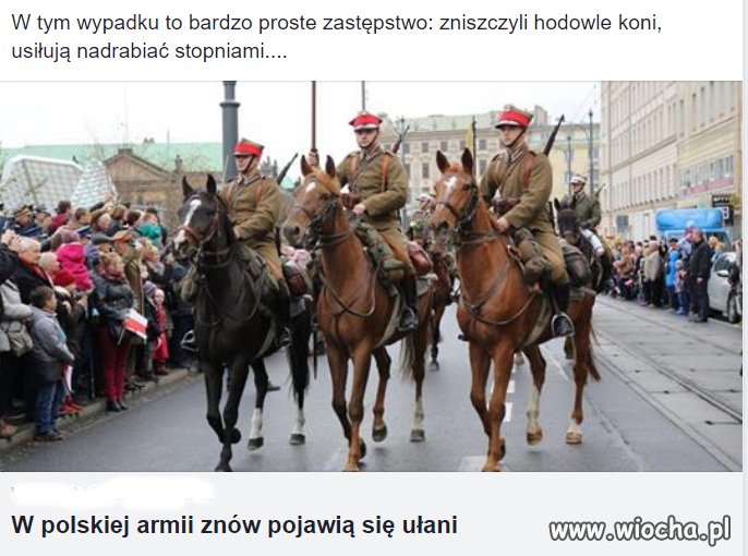 Polska armia w siłę rośnie!