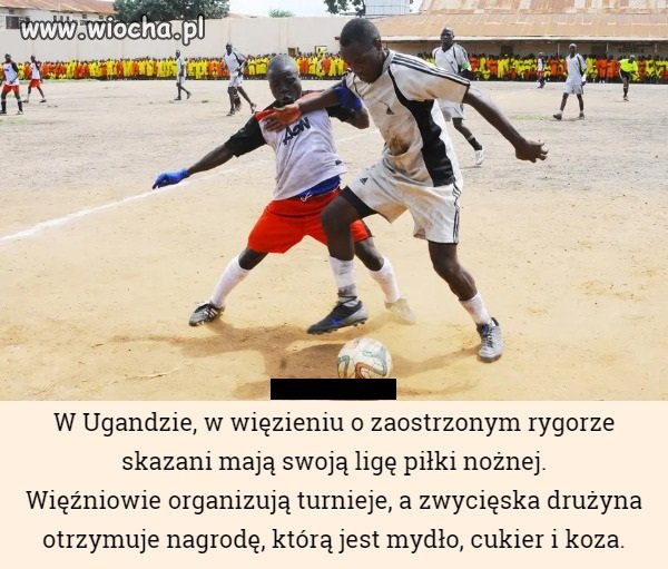 Ciekawe po co im to mydło