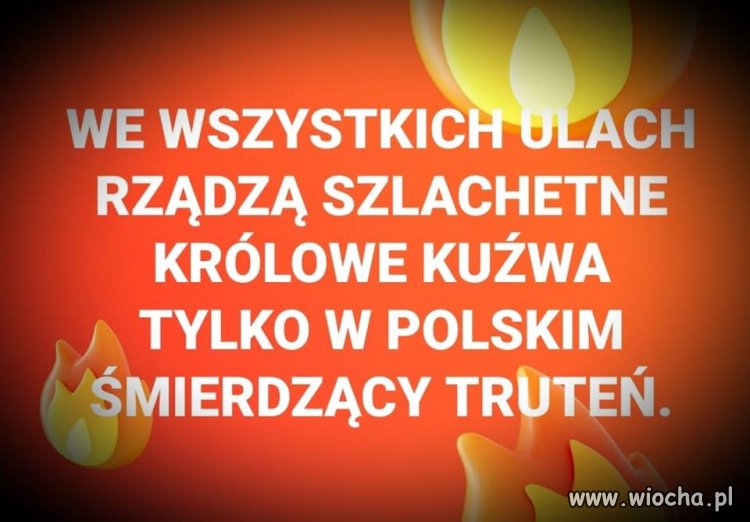 No właśnie. Dlaczego ?