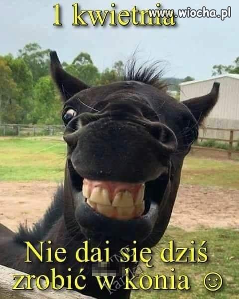Coś w tym jest