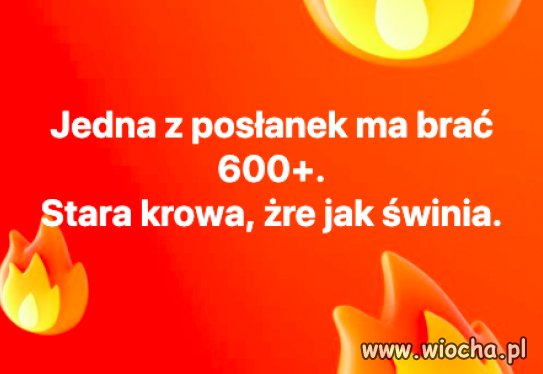 Socjal dla posłanki