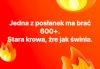 Socjal dla posłanki