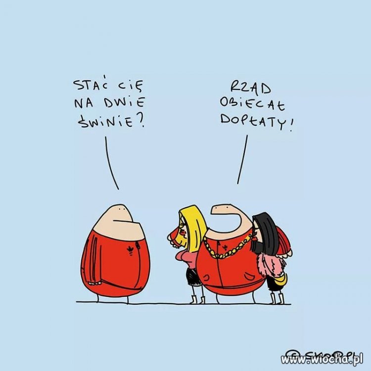 Elektorat już uwierzył w Jarkowe ...