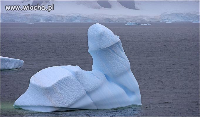 Ocieplenie klimatu